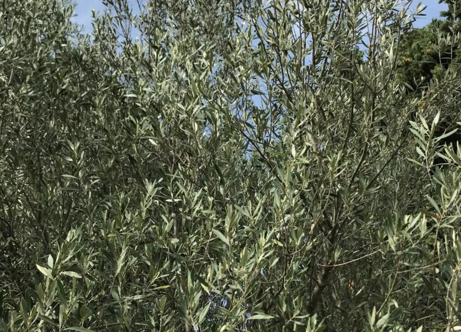 公寓 Superbe Annaix De Villa 普罗旺斯地区艾克斯