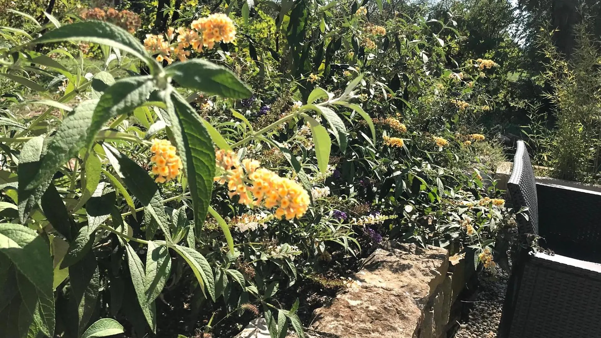 Superbe Annaix De Villa 普罗旺斯地区艾克斯 公寓